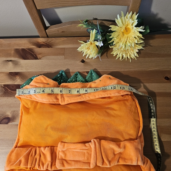 Thrills & Chills - Dog Pumpkin Halloween Costume - Size L - Picture 8 of 13